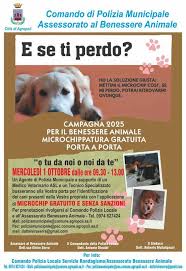 Un cane con il suo padrone