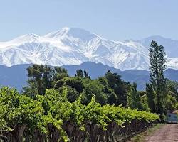 Image de Vignes de Mendoza, Argentine