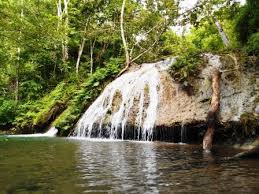 Image result for "air terjun lereng raung"