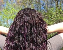 Image de Deep Plum Curly Hair