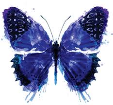 Résultat de recherche d'images pour "indigo"