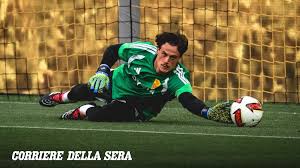 Trend Google: svilar