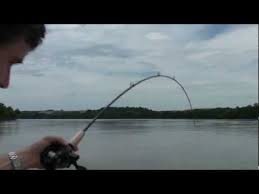 Resultado de imagem para pesca rs