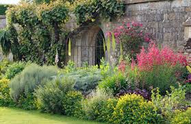 Image result for The Secret Garden