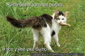 Российская экономика успешно адаптируется, - Путин - Цензор.НЕТ 5927