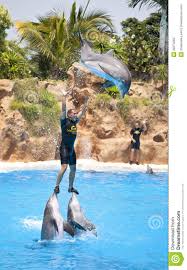 Resultado de imagen de imagenes de loro parque