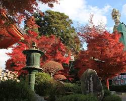 耕三寺博物館（耕三寺）の紅葉の画像