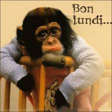 Résultat de recherche d'images pour "bonne semaine"