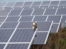 RFP alert: DTE Energy opens bidding for 1 GW of solar and wind capacity