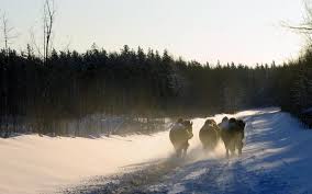 Wood Buffalo weather, Wood Buffalo winters