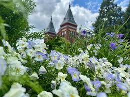 Storm Outlook Across Eastern US: Showers, Heat, and Weekend Thunderstorms