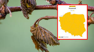 Dziś w nocy będzie aż -12 st. C. Nadciąga kulminacja zimna, IMGW wydaje alerty