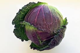 Image result for cabbage