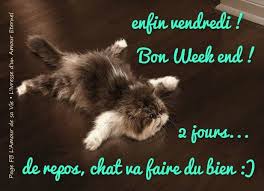 Résultat de recherche d'images pour "image drole bon week end"