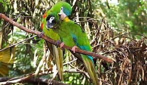 Imagini pentru cele mai frumoase cascade din lume video