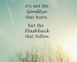 Funny Farewell Quotes For A Friend : Funny Goodbye Quotes For ... via Relatably.com