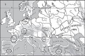 Image result for IRAN HORSES