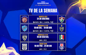 ¡Fluminense a la Carga! Dónde Ver el Crucial Partido en la Copa Sudamericana - Imagen principal del artículo