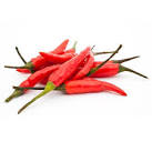Asian Birds Eye Chilli - The Hippy Seed Company
