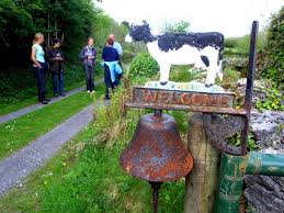 Image result for ireland landscape cliffs