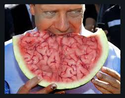 images?q=tbn:ANd9GcScgGRA-JqUjustC8qaJxmJlzxKM8eRR_SoJCuqdDJ3mZrsauCu