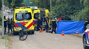 Gouds Dagblad - News update