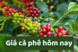 baonghean.vn - News update