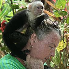 Rainsong Wildlife Sanctuary Head over to Cabuya and see some baby animals. Usually there&#39;s a baby monkey or two. Call 2642-1265 for details and directions. - rainsong-wildlife-sanctuary