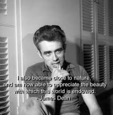 James Dean Quotes on Pinterest | James Dean, James D&#39;arcy and Actors via Relatably.com