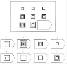 Image result for raven's matrices