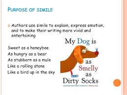 Image result for SIMILE