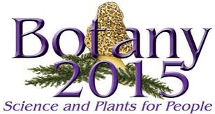 botany এর চিত্র ফলাফল