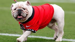 AP Poll Football updates featuring Georgia and Oklahoma