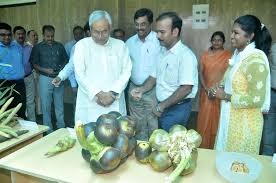 Image result for bihar images