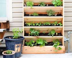 Image of Vertical herb planter