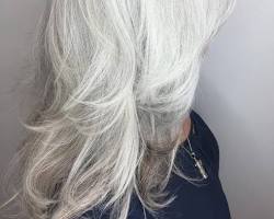 Image de Long Grey Hair with Layers