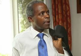 Image result for prof osinbajo