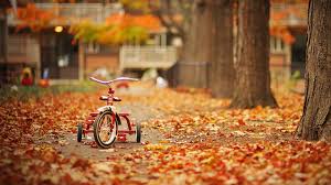 Imagini pentru toamna