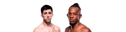 MMAExpress - News update