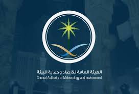 جريدة المدينة - News update