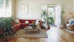 should greening homes with plants,