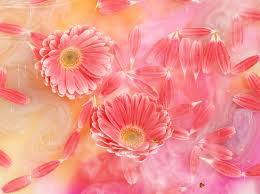 Image result for animated butterflies wallpaper