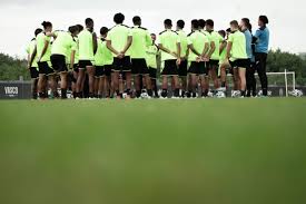 NETVASCO - News update