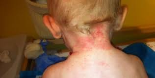 تصویر مرتبط