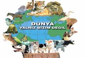 hayvan yazıları ile ilgili görsel sonucu