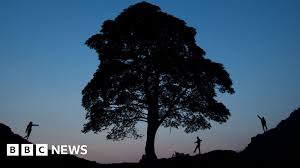 BBC - News update