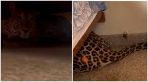 Asianet News Kannada