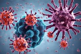Nipah, gripe k, aviária: as doenças no radar de infectologistas em 2026