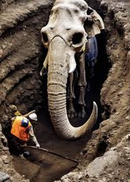 Mammoths and Neanderthals. by Luis V. Rey