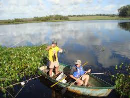 Resultado de imagem para pesca rs